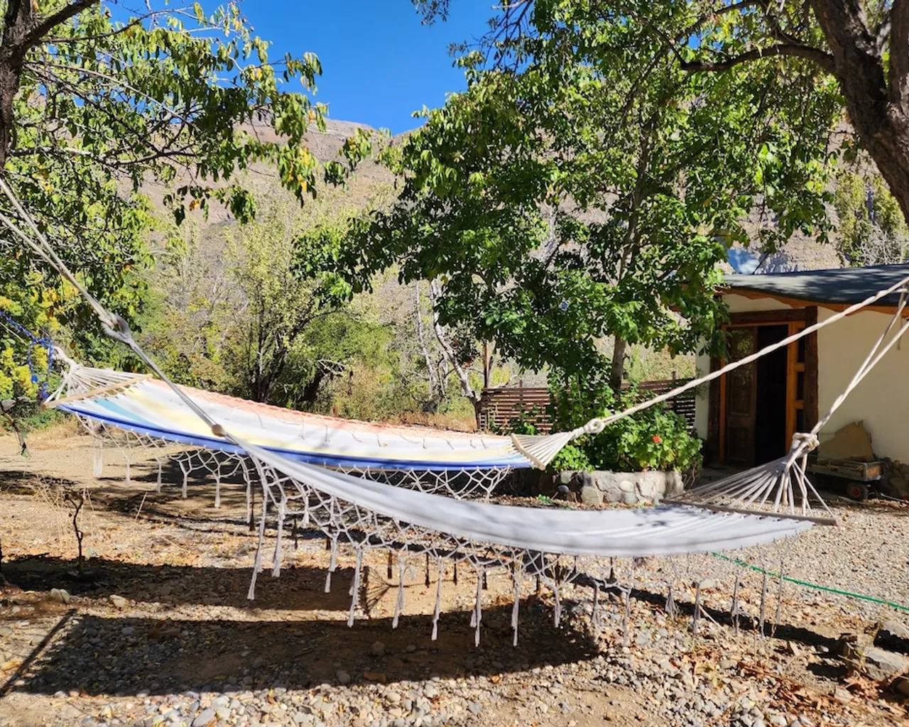 기본 이미지