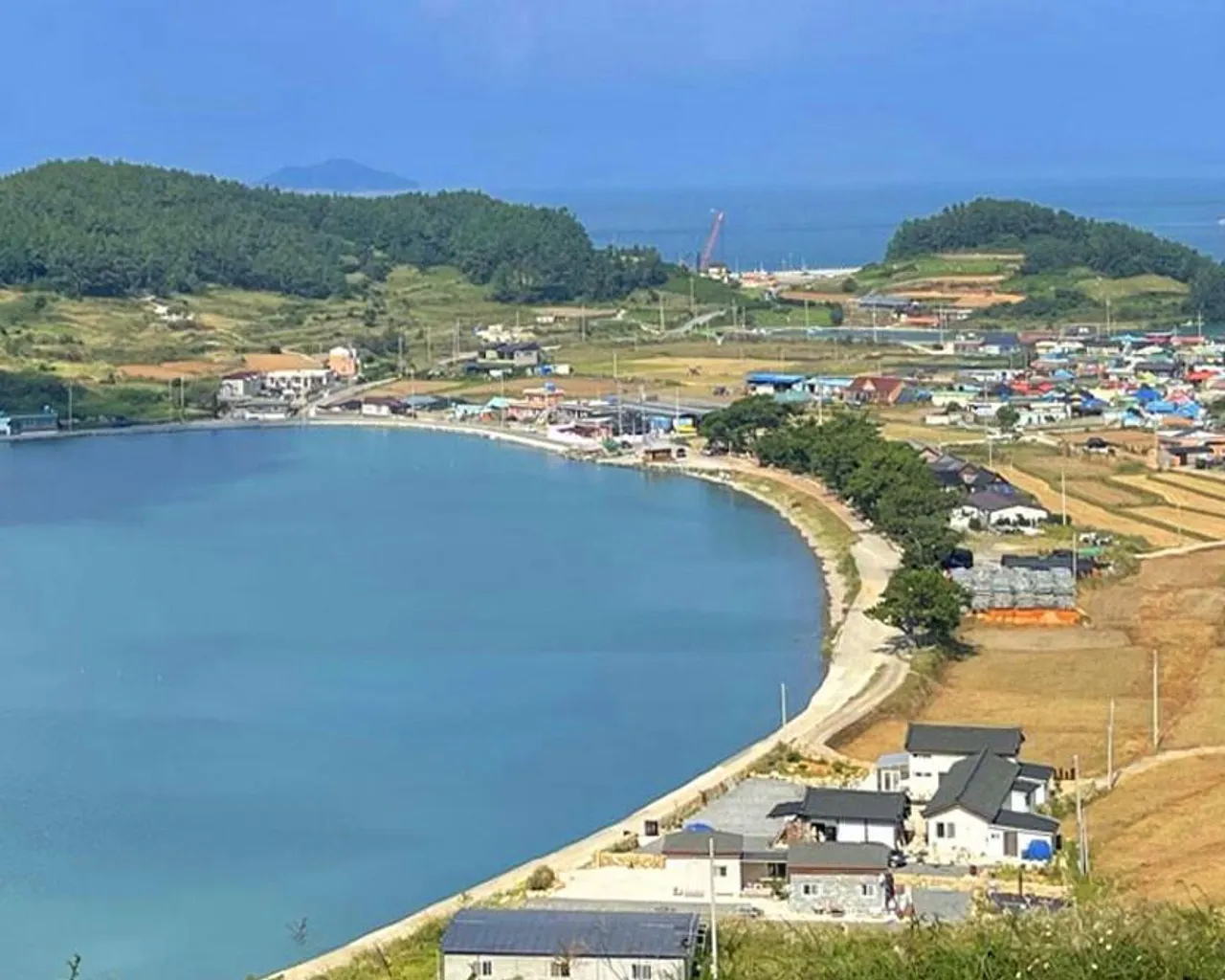 대표 사진