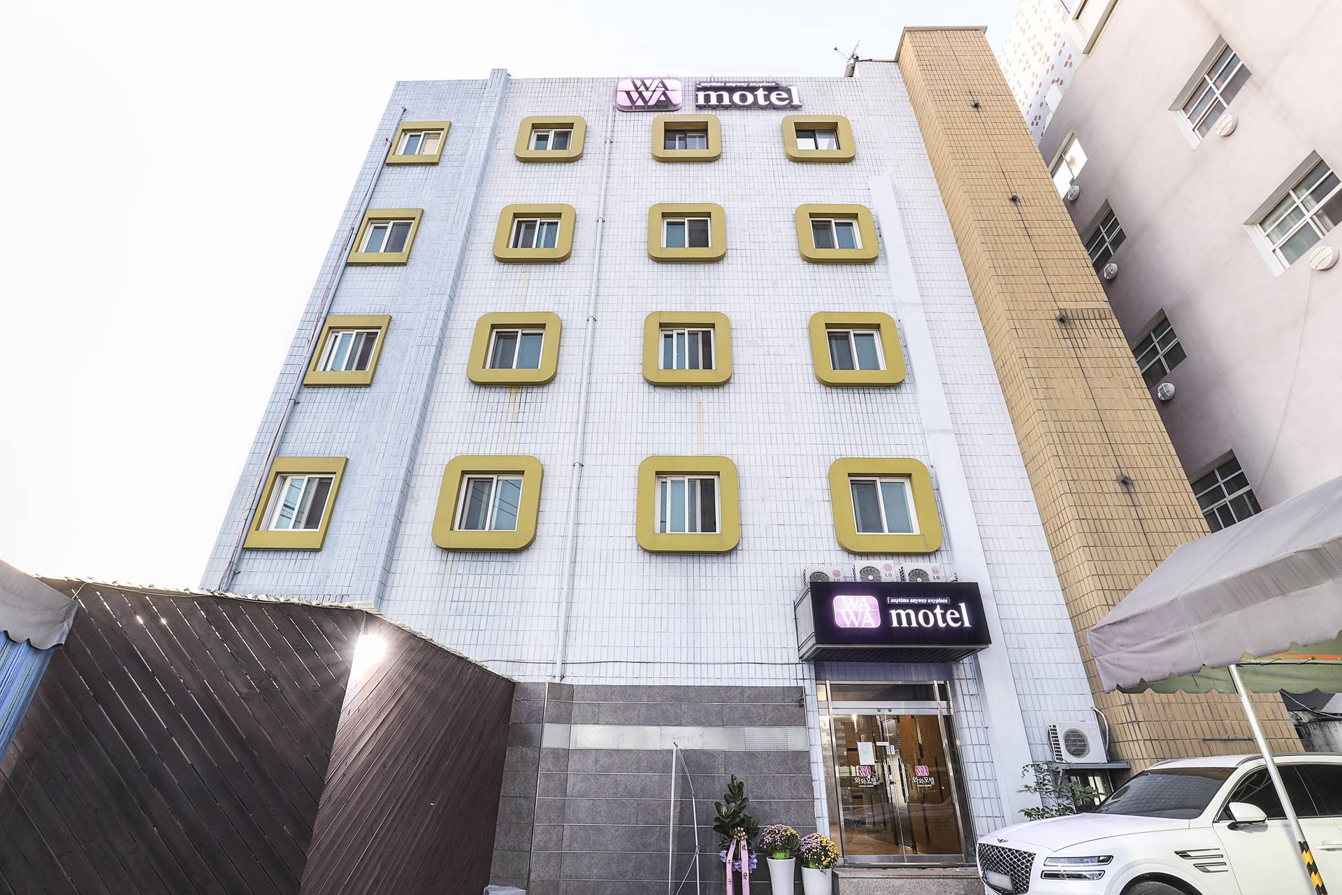 대구 경북대 와와 이런 분들 추천해요 이미지