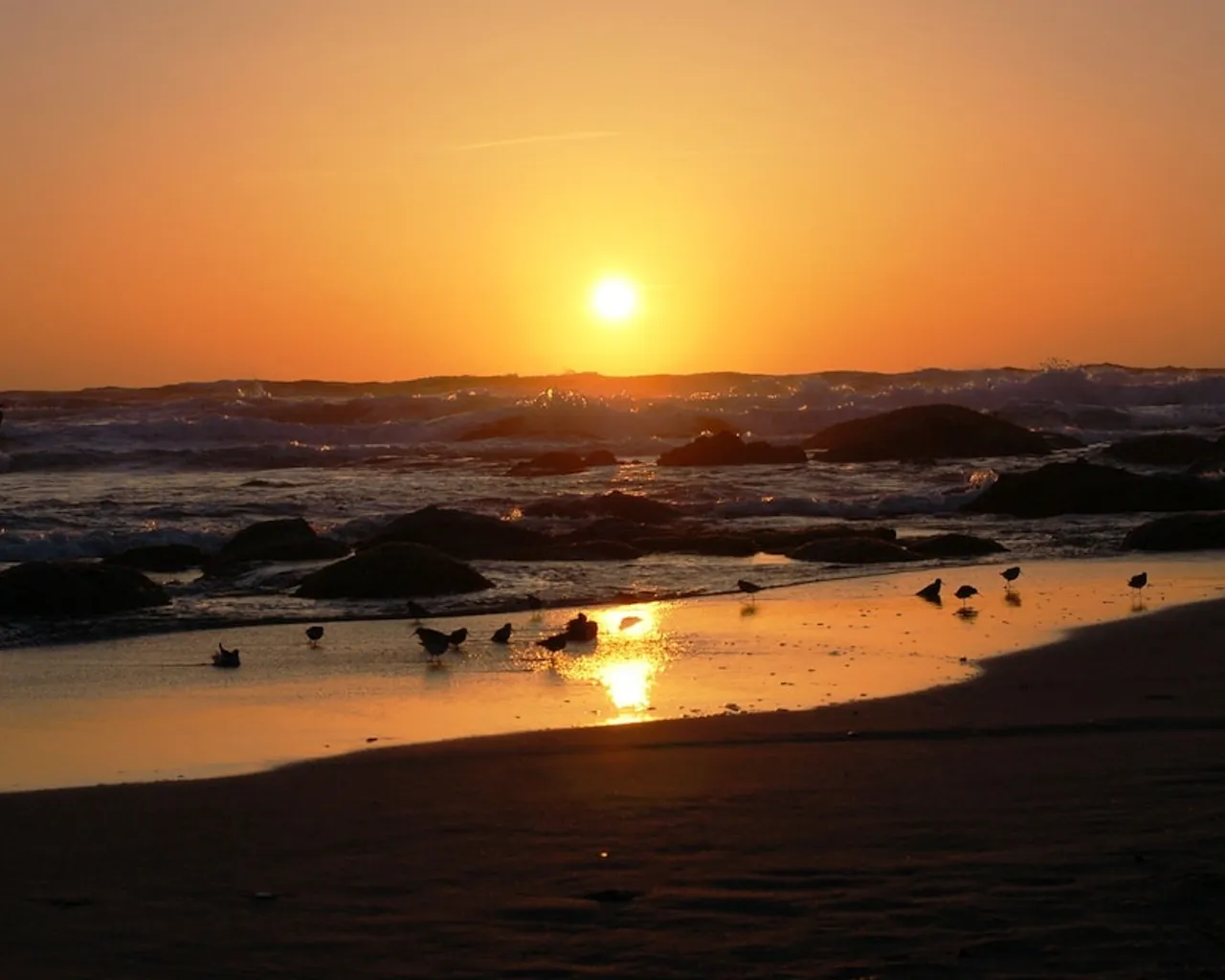 해변