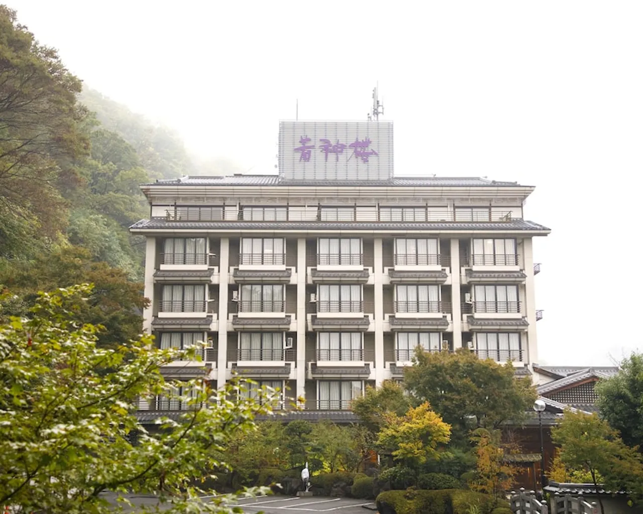 기본 이미지