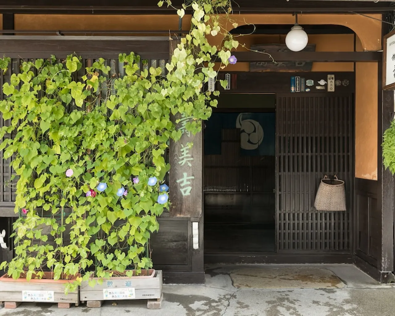 기본 이미지