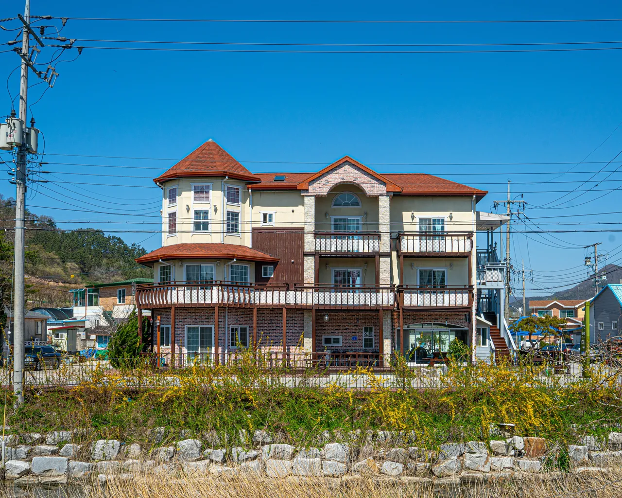 대표 사진