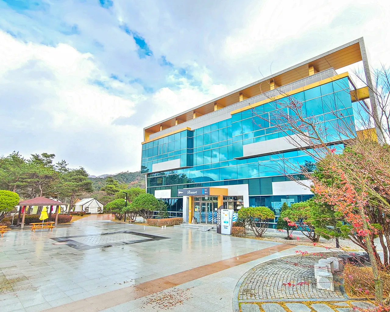 대표 사진