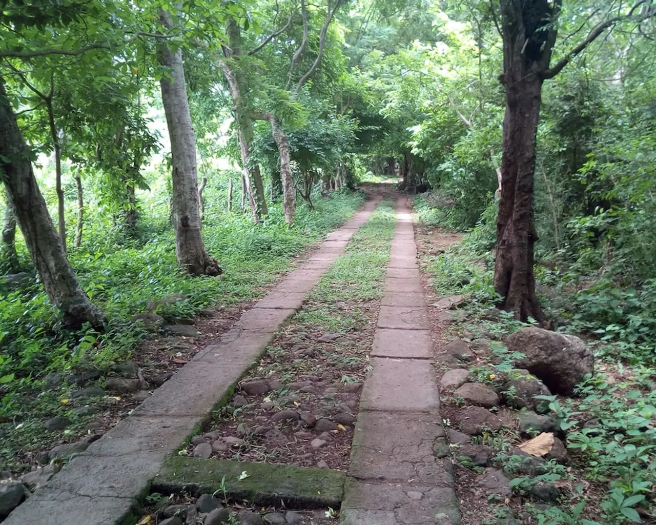 기본 이미지