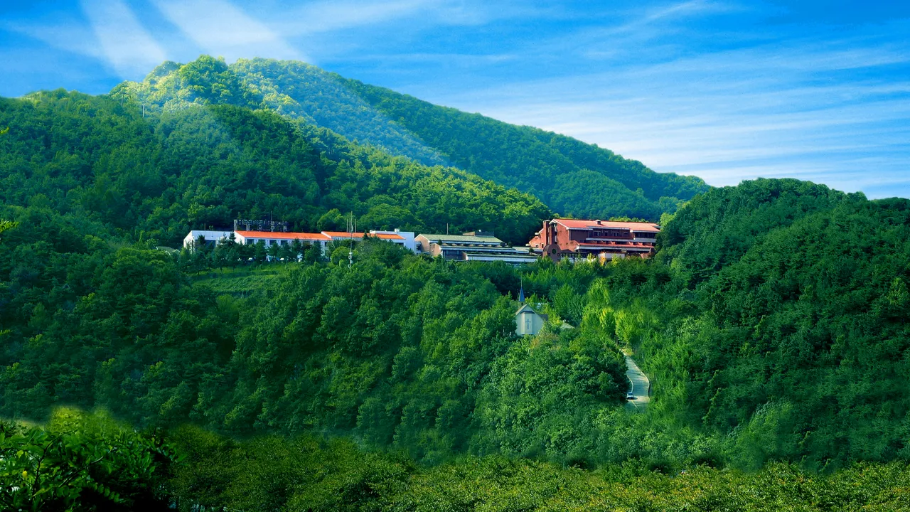 수안보 파크 호텔 사진