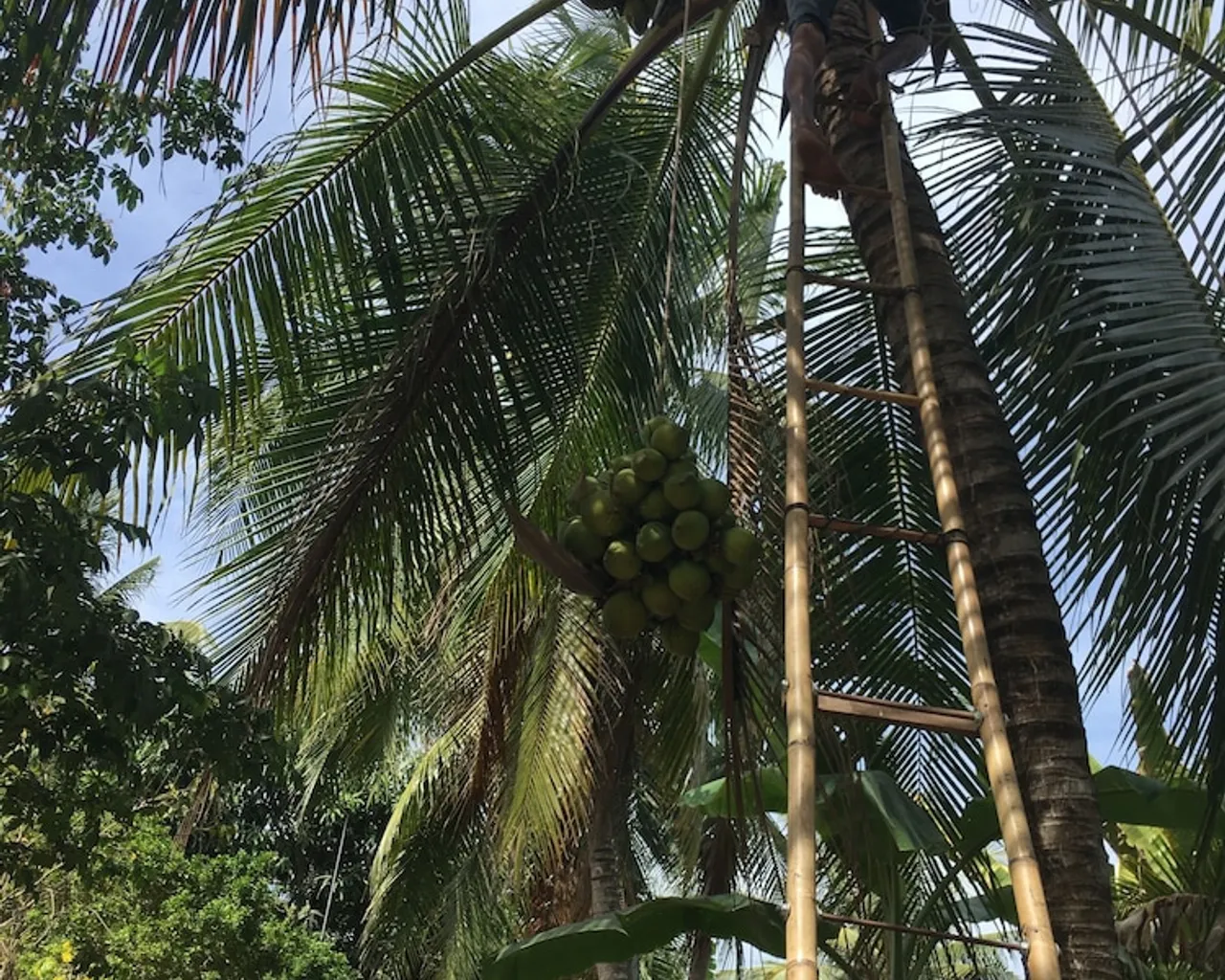 기본 이미지