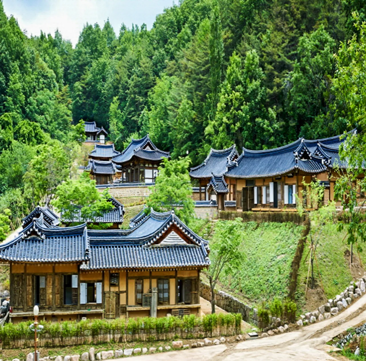 안동 전통리조트 구름에 사진