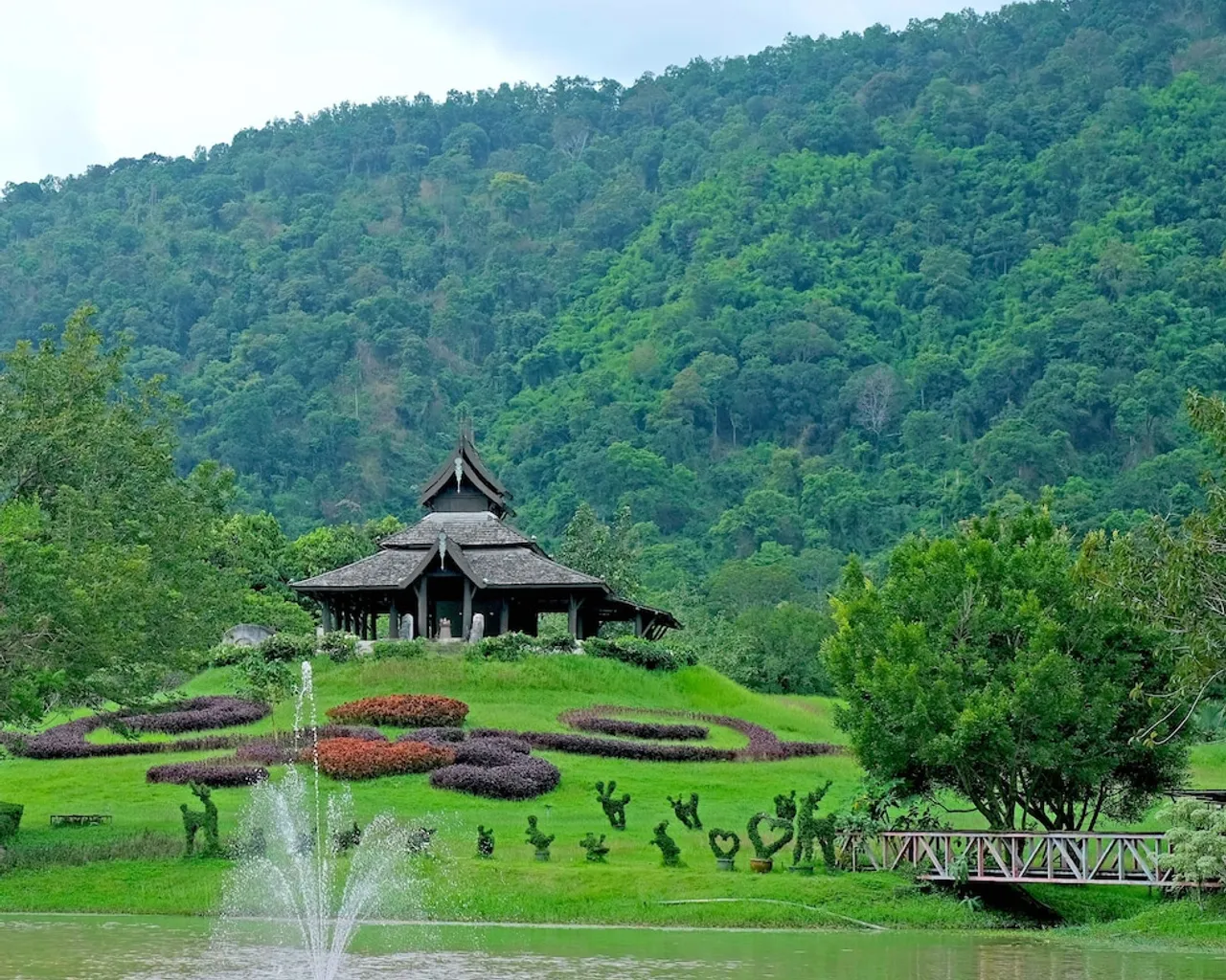 기본 이미지