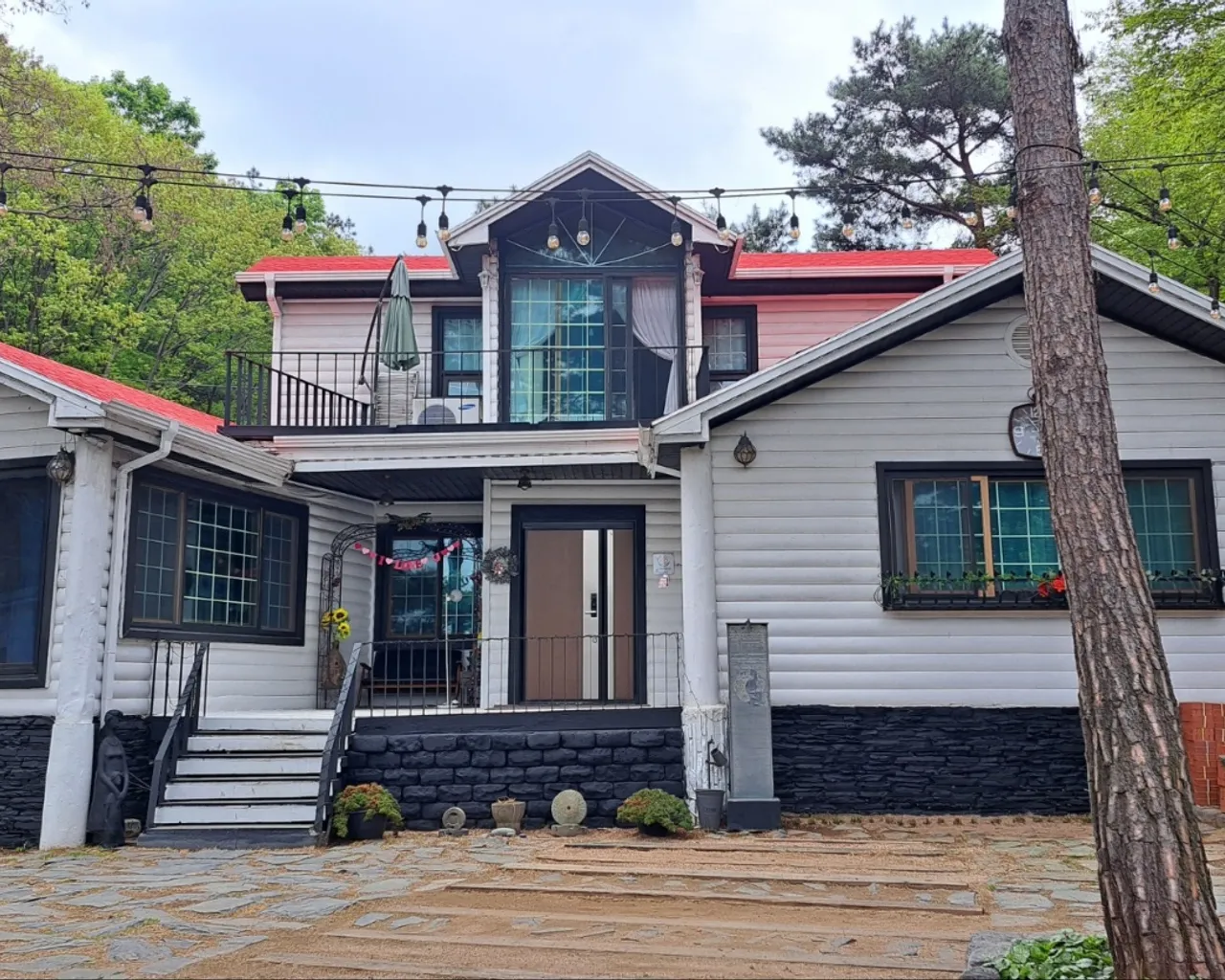 대표 사진