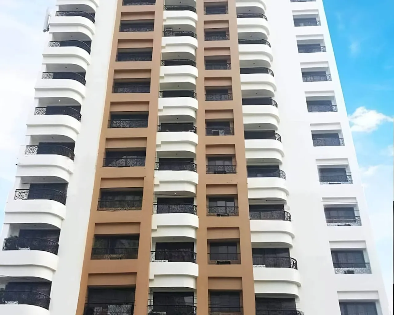기본 이미지