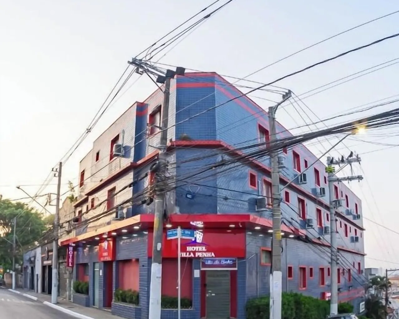기본 이미지