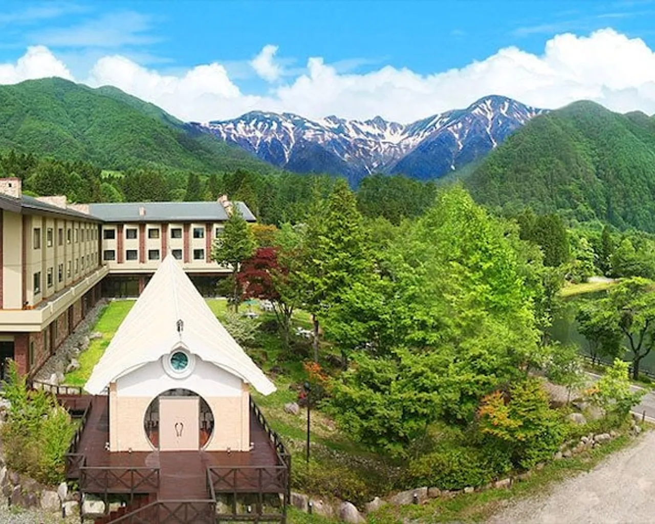 기본 이미지