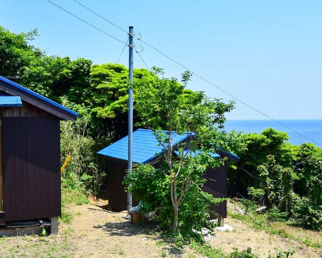 기본 이미지