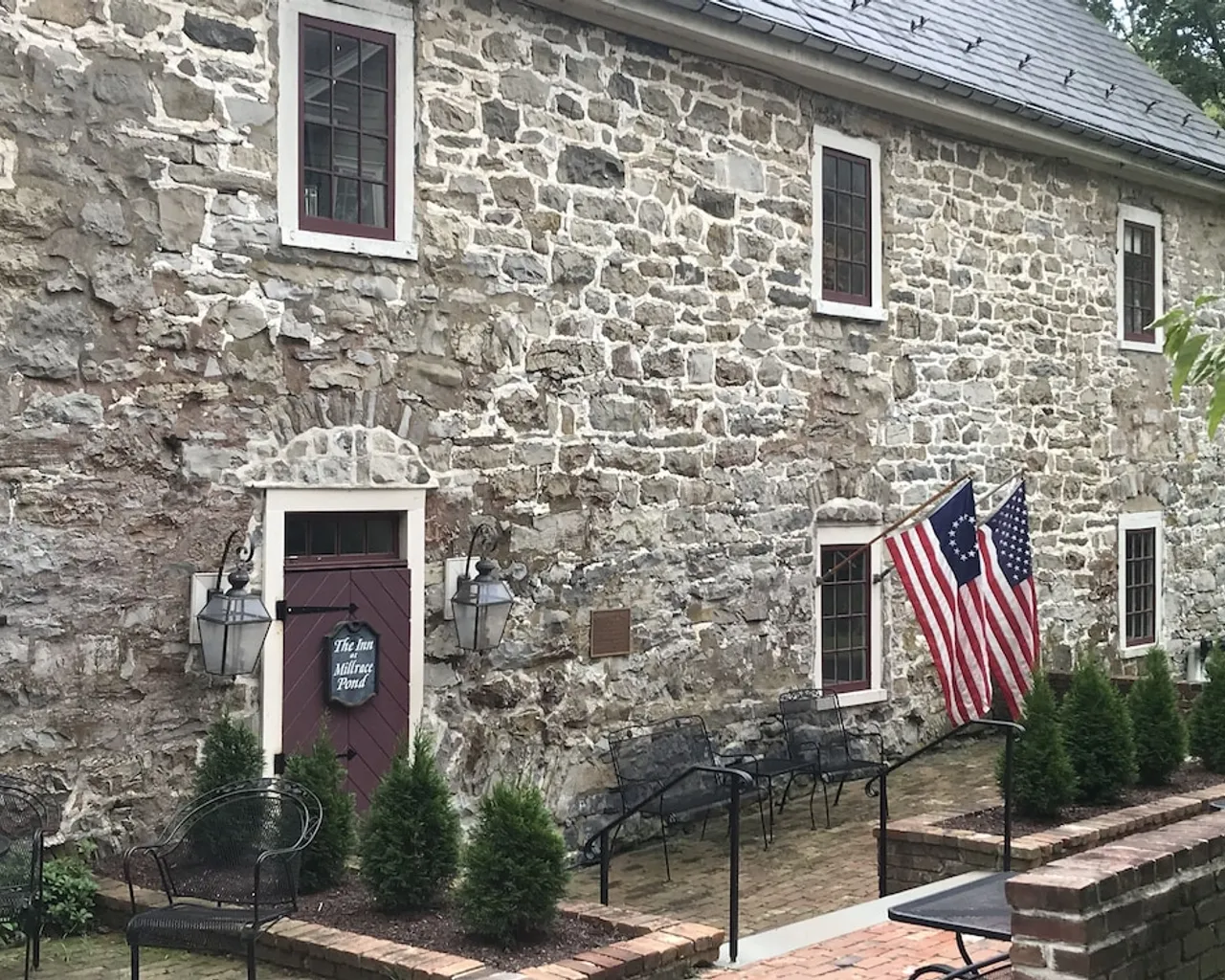 기본 이미지