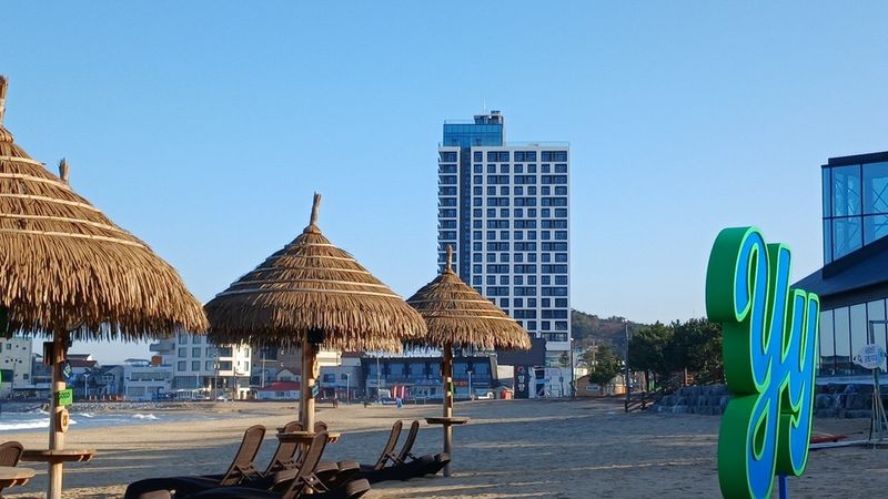 대표사진