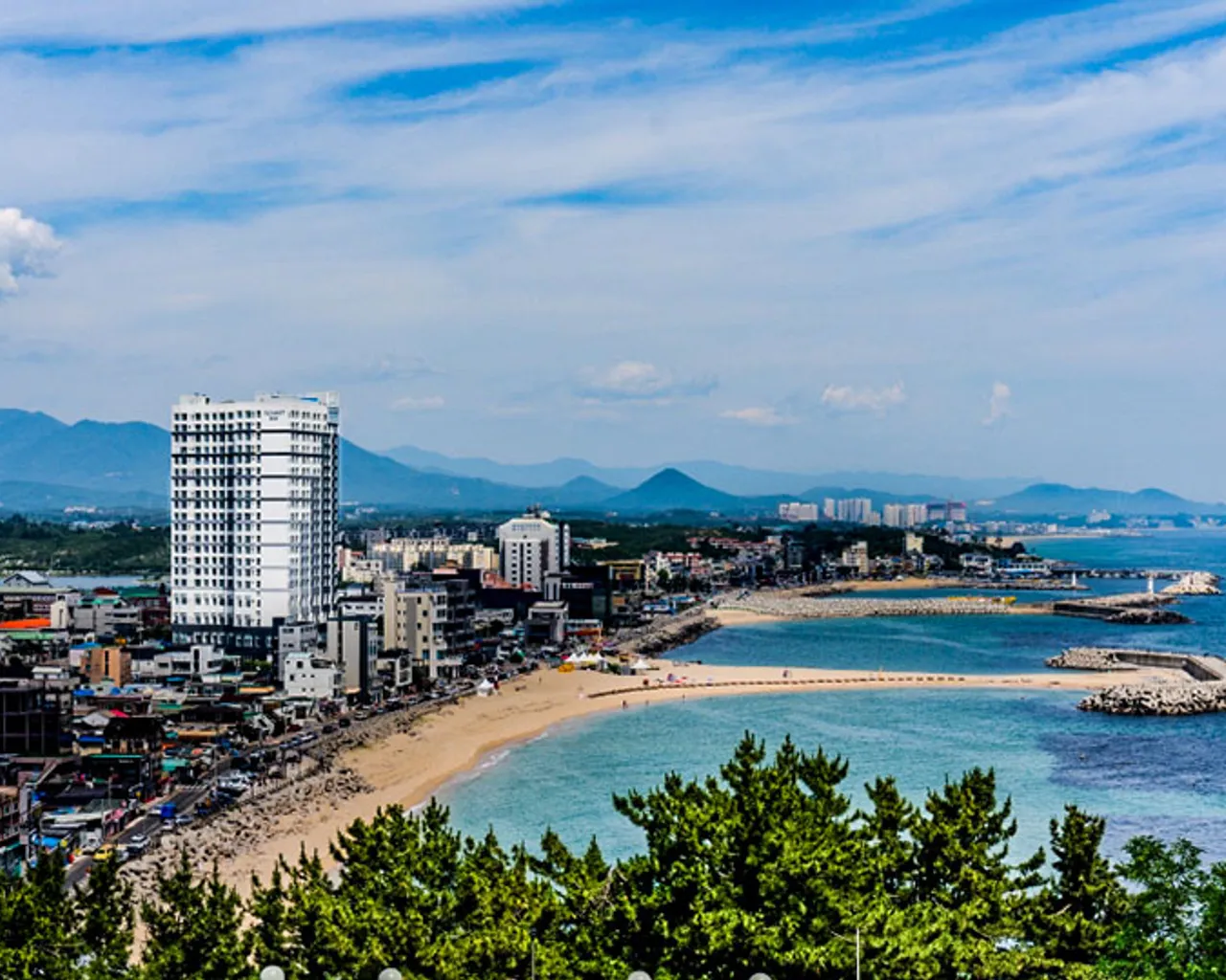 대표 사진
