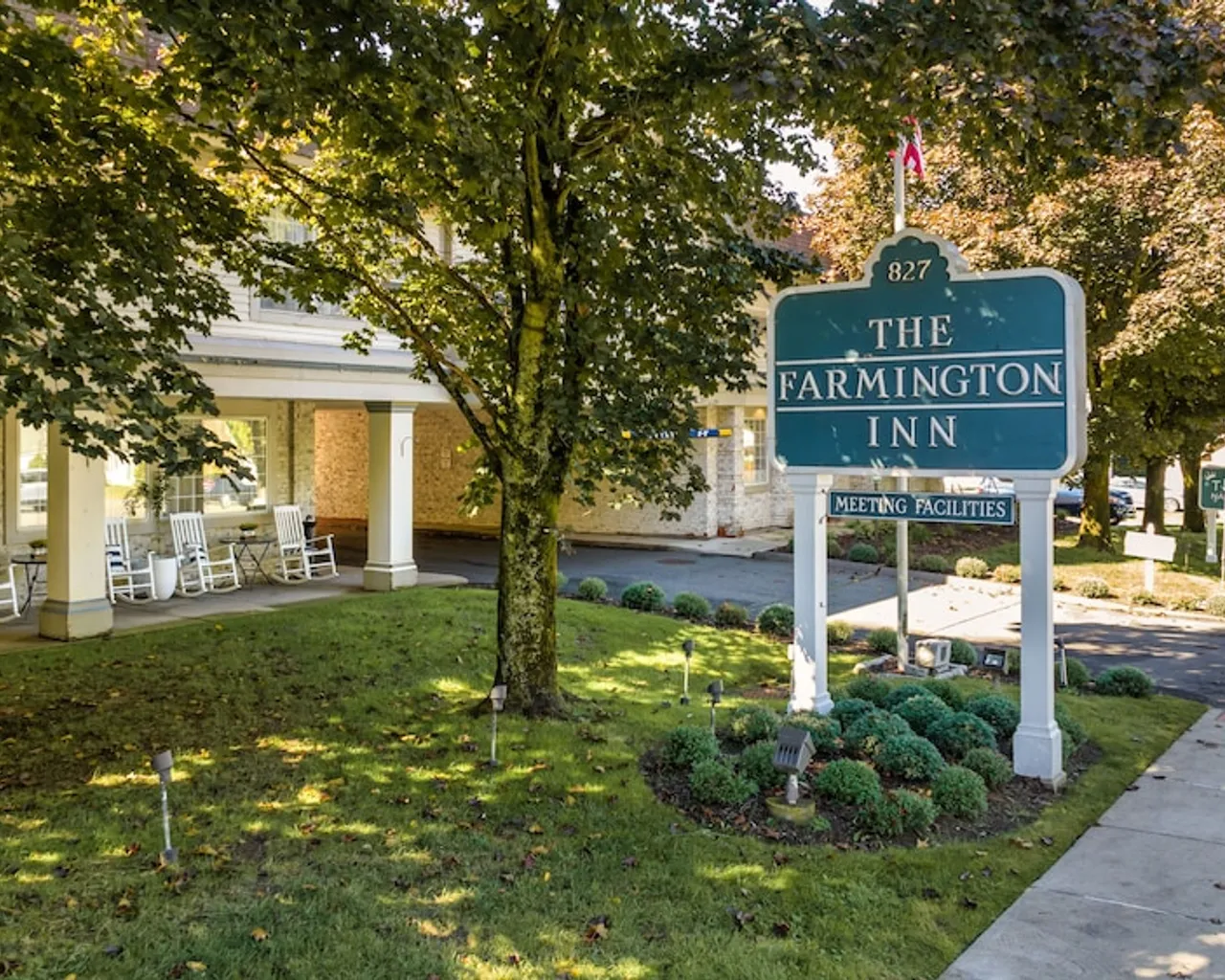 기본 이미지
