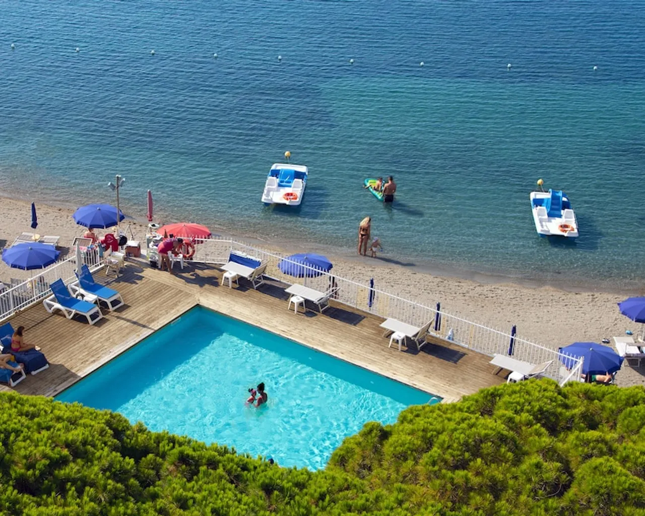 기본 이미지