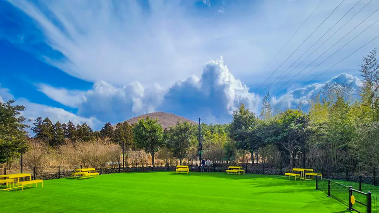 한화리조트 제주 사진