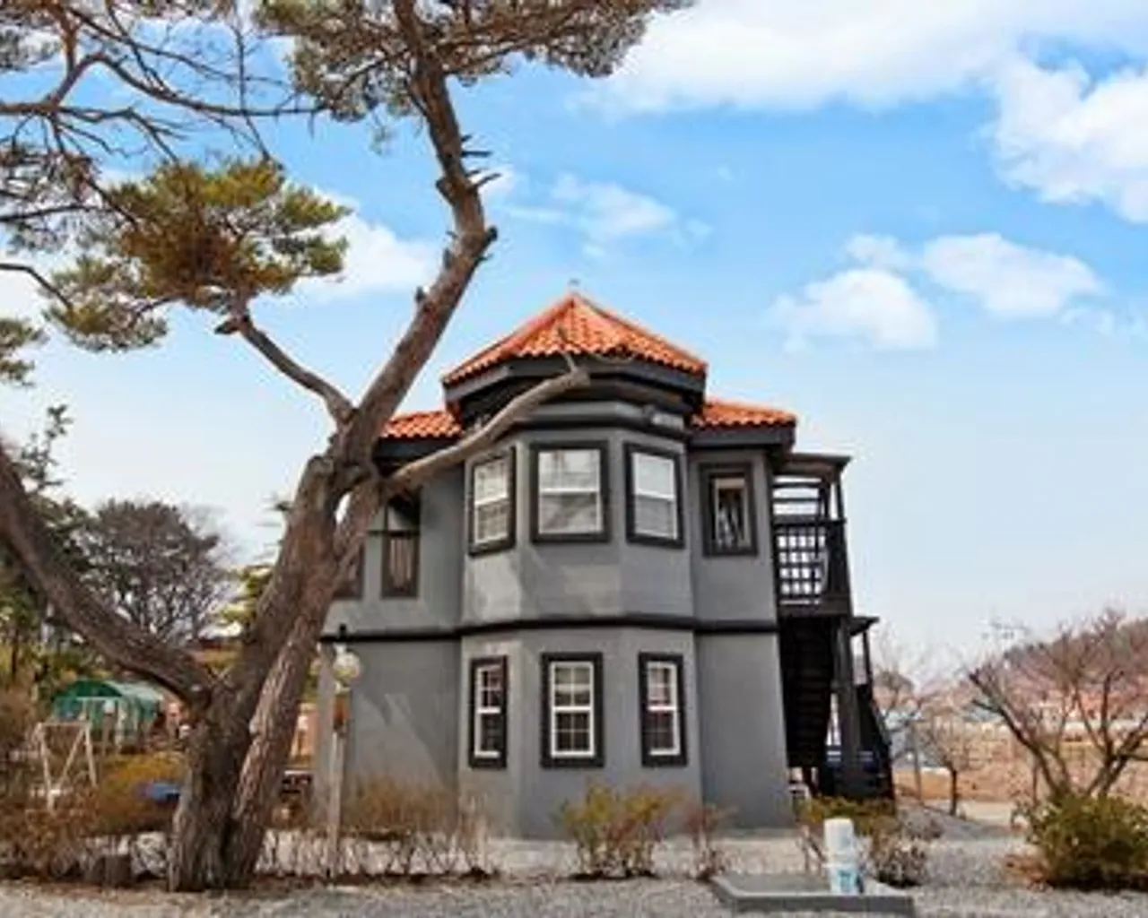 대표 사진