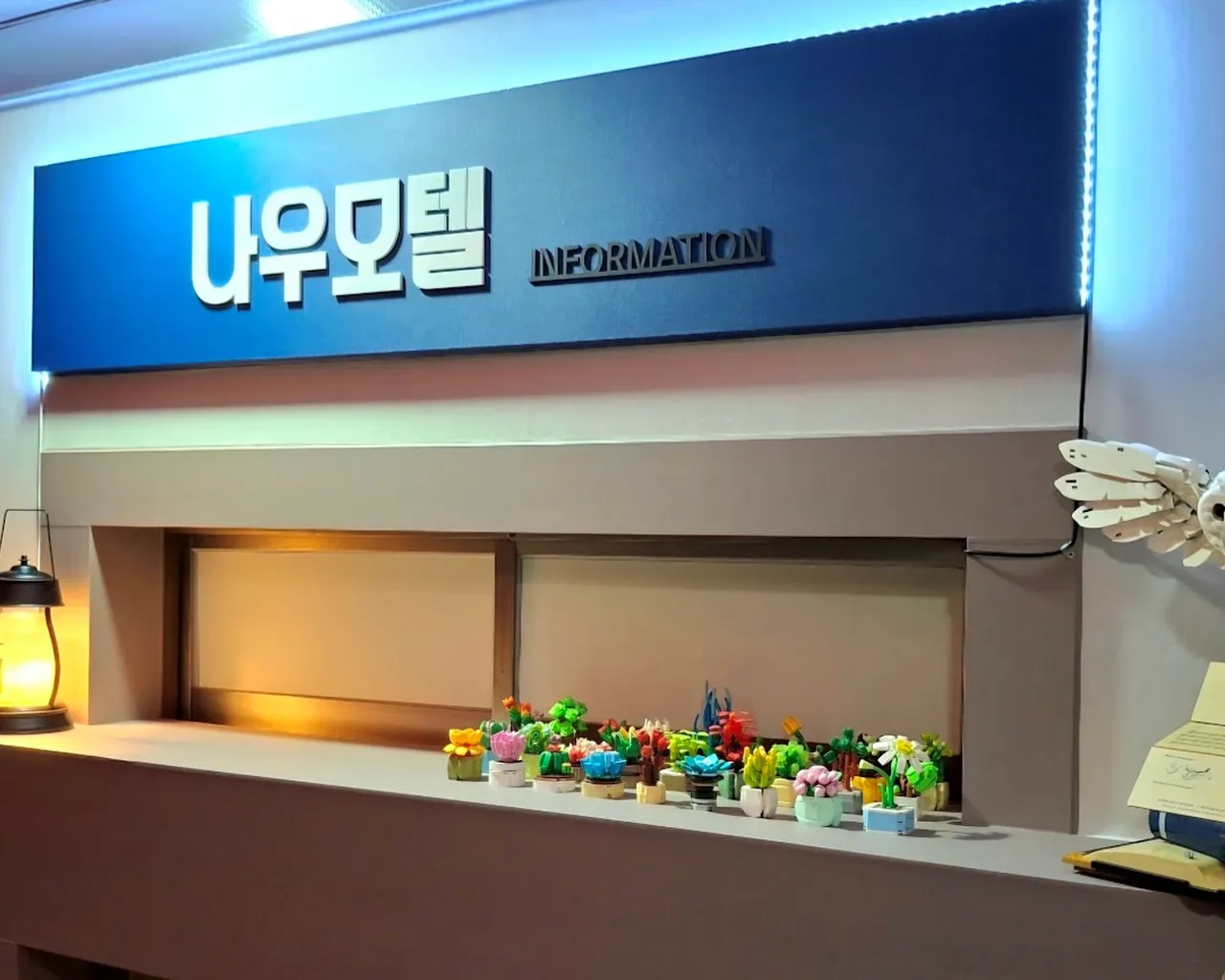 대표 사진