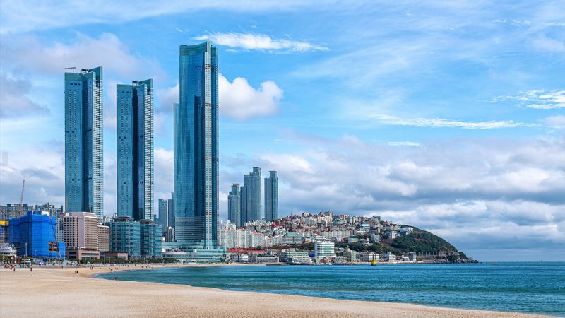 대표사진
