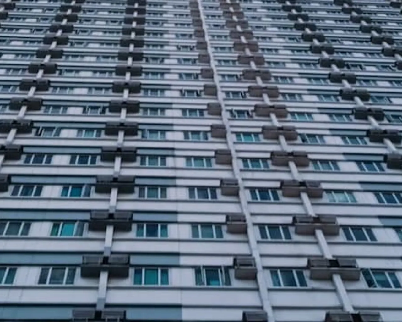 기본 이미지