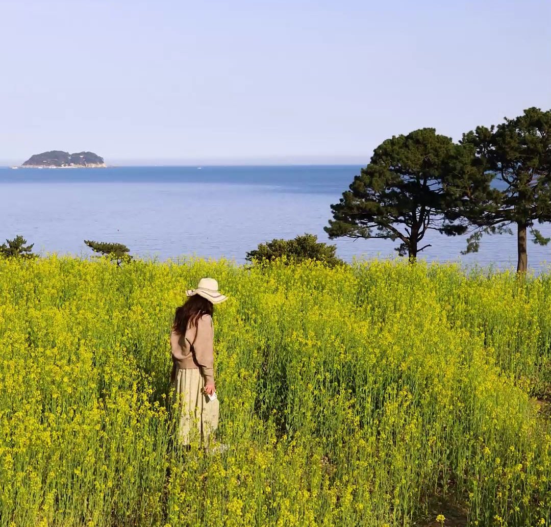 경남 거제 가볼만한곳 3 | 국내여행지, 케이블카, 씨월드, 거제도 숙소 추천 대표 이미지