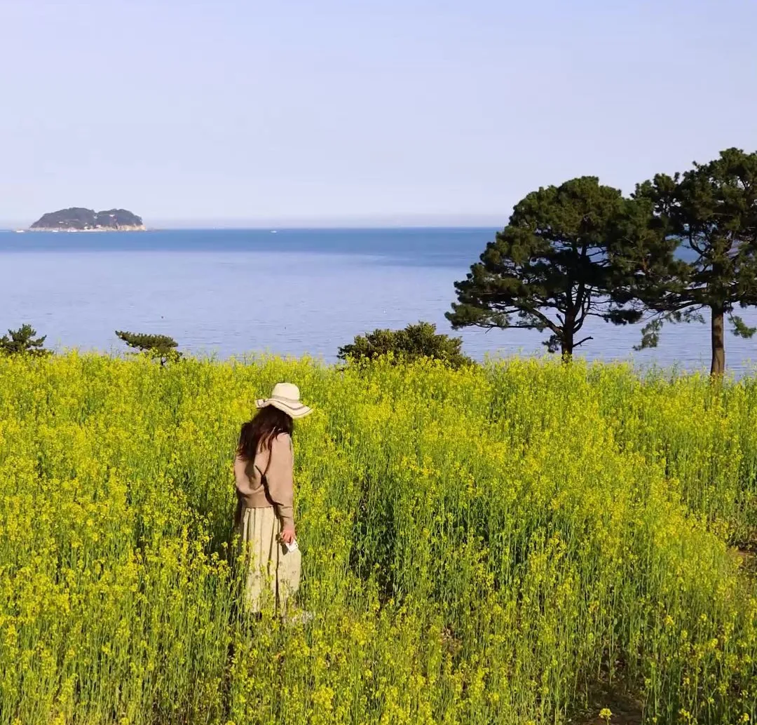 경남 거제 가볼만한곳 3 | 국내여행지, 케이블카, 씨월드, 거제도 숙소 추천 대표 이미지