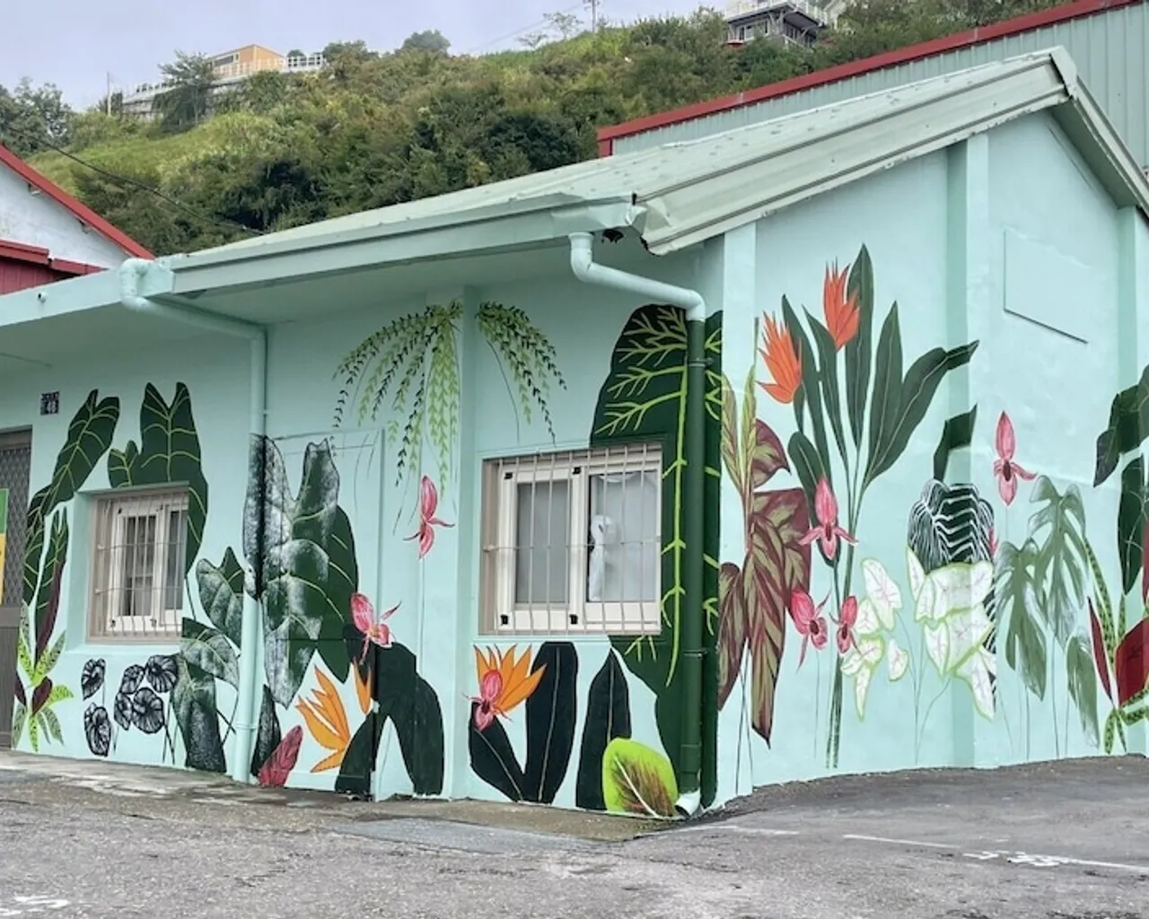 기본 이미지