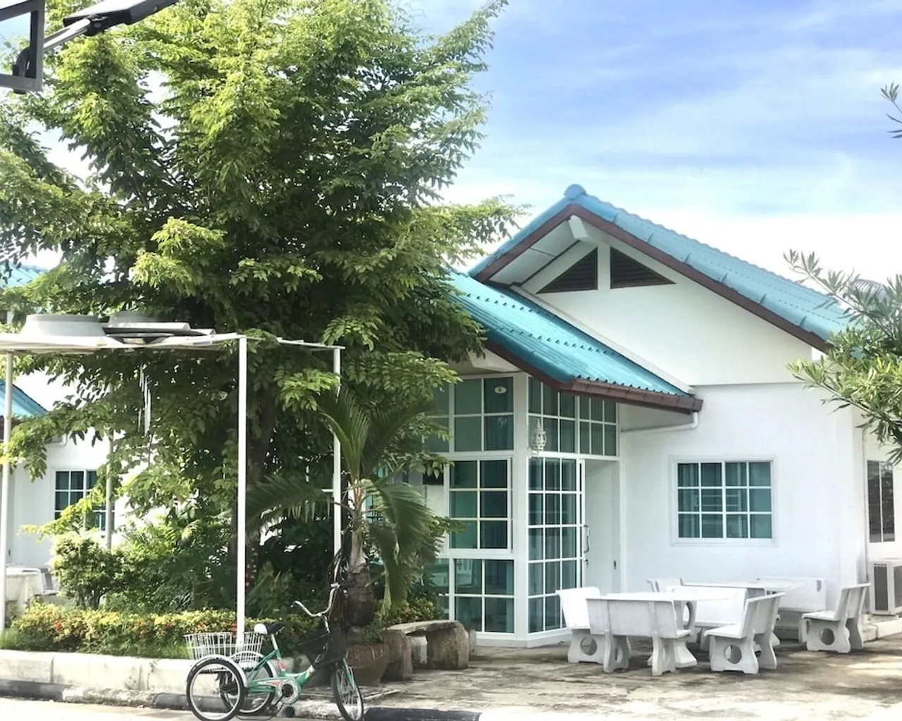 기본 이미지