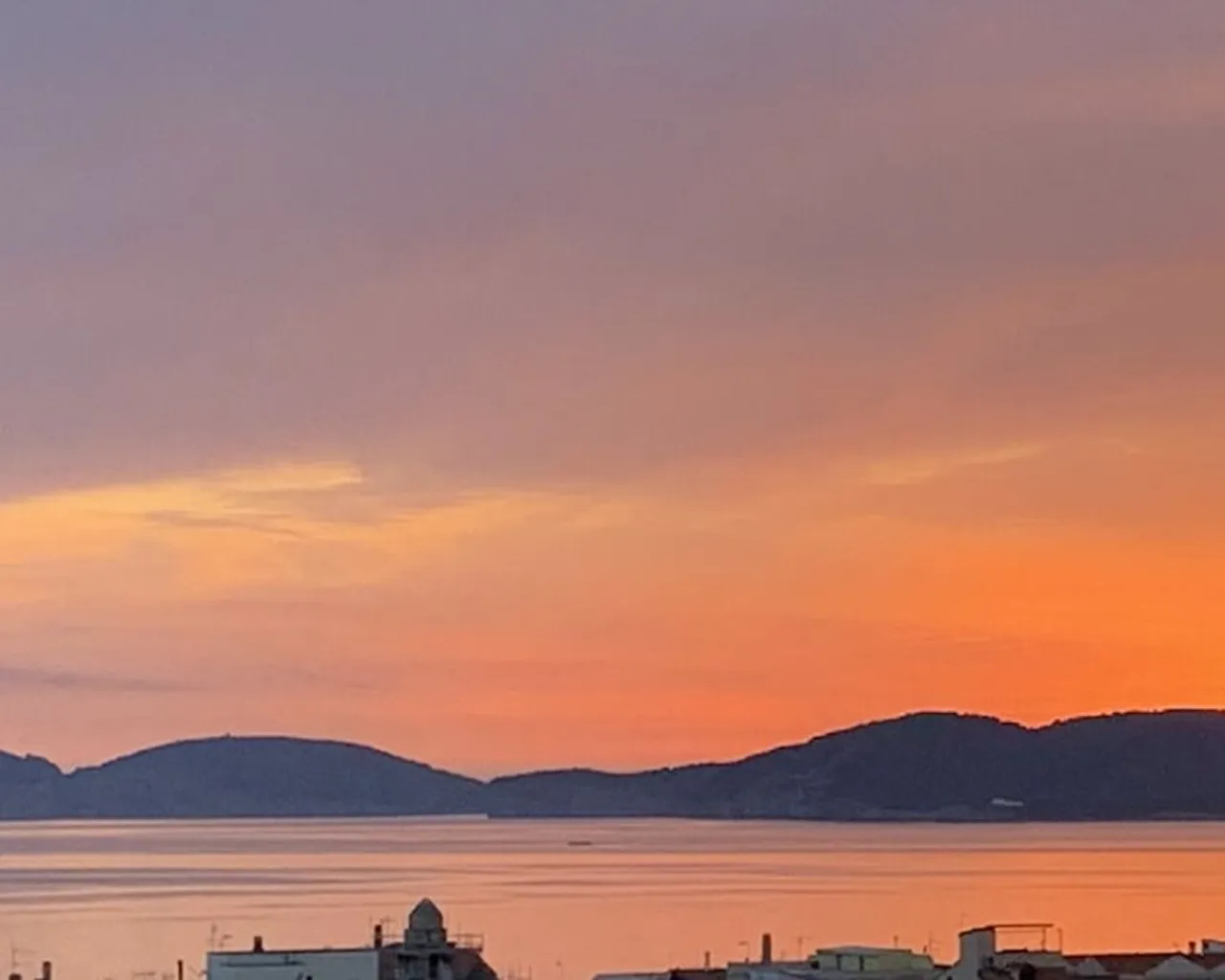 기본 이미지