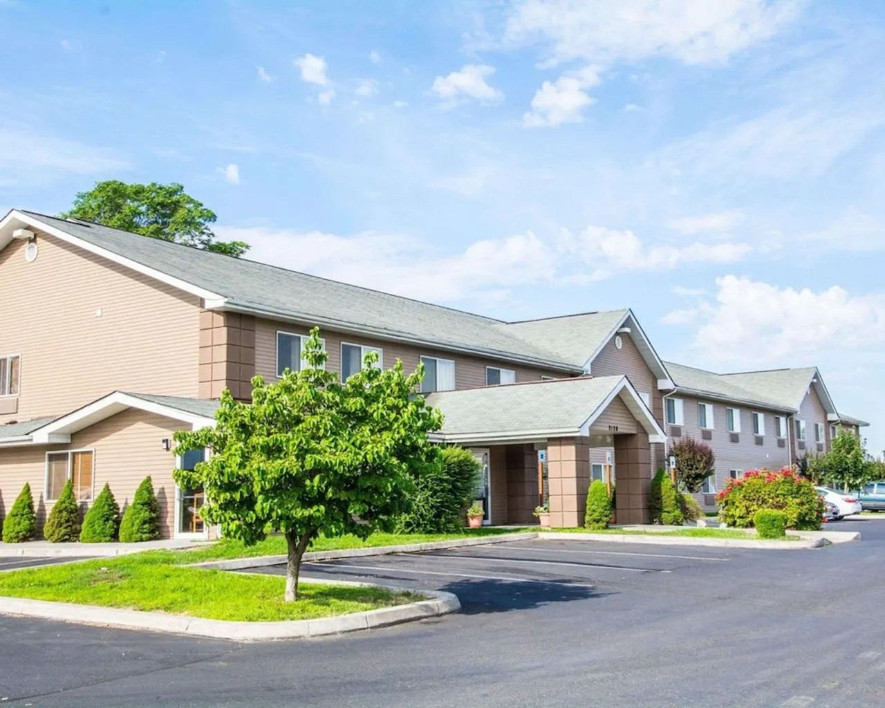 기본 이미지