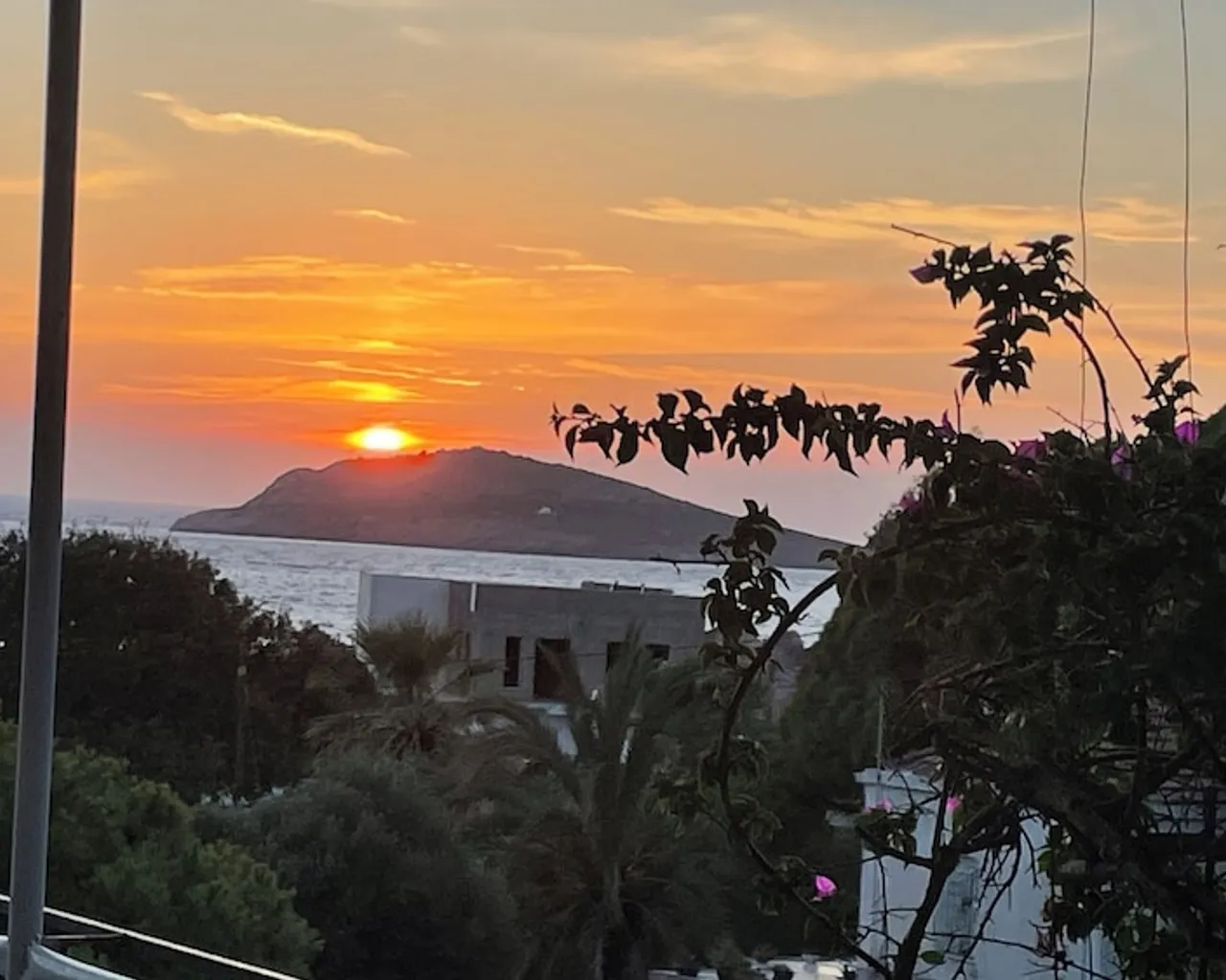 기본 이미지