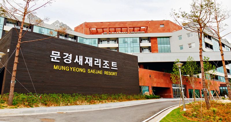 대표사진
