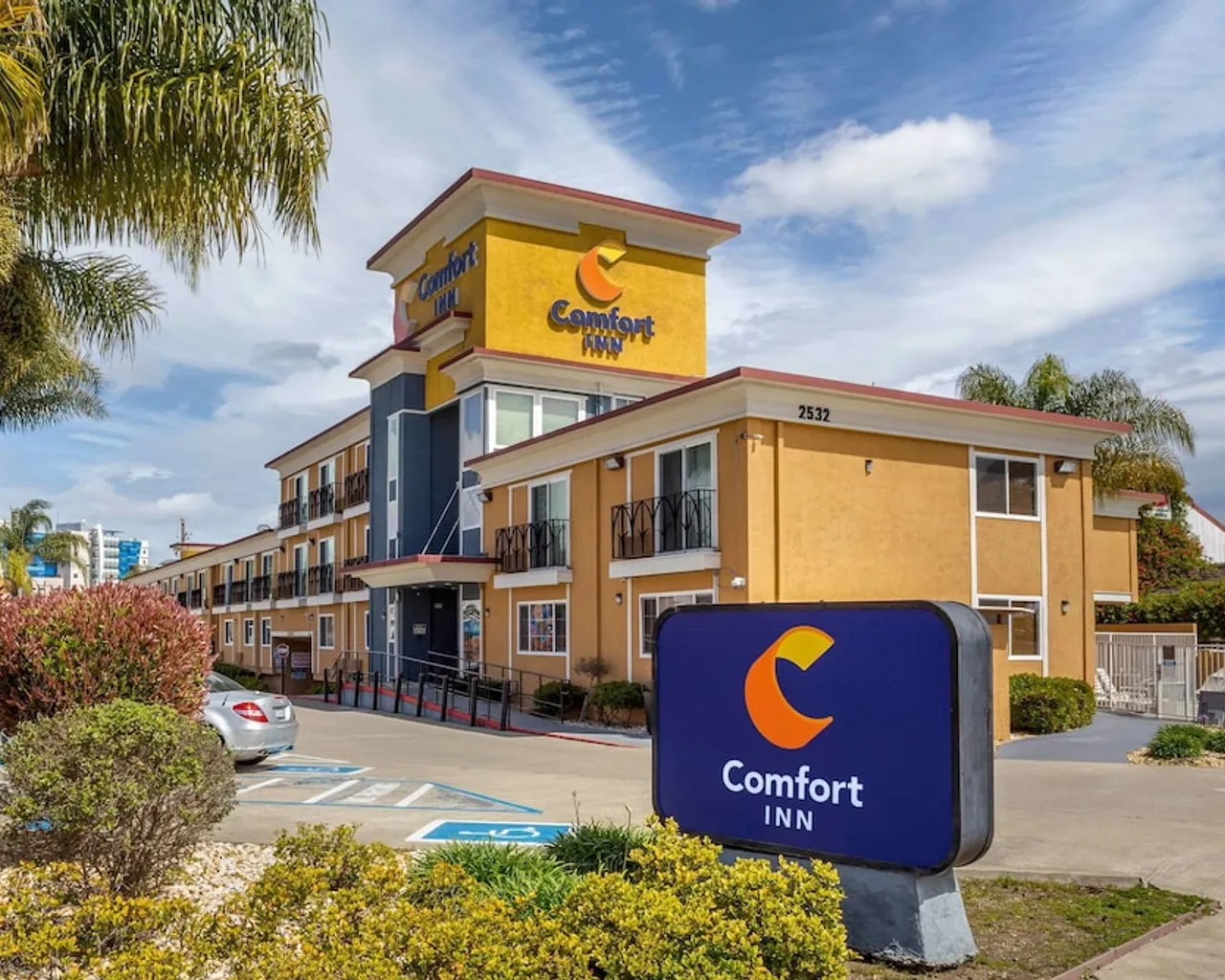기본 이미지