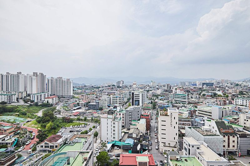 기타
