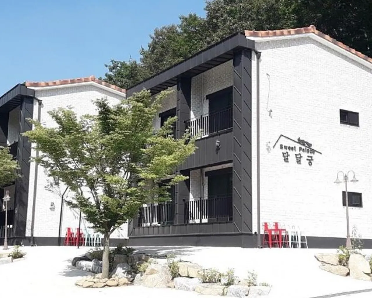 대표 사진