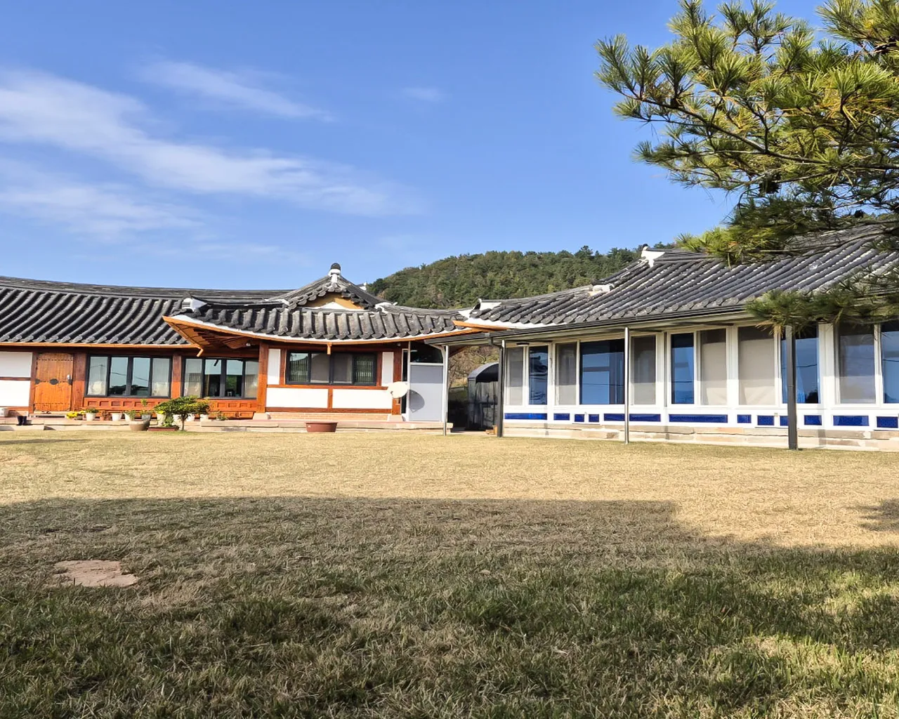 대표 사진