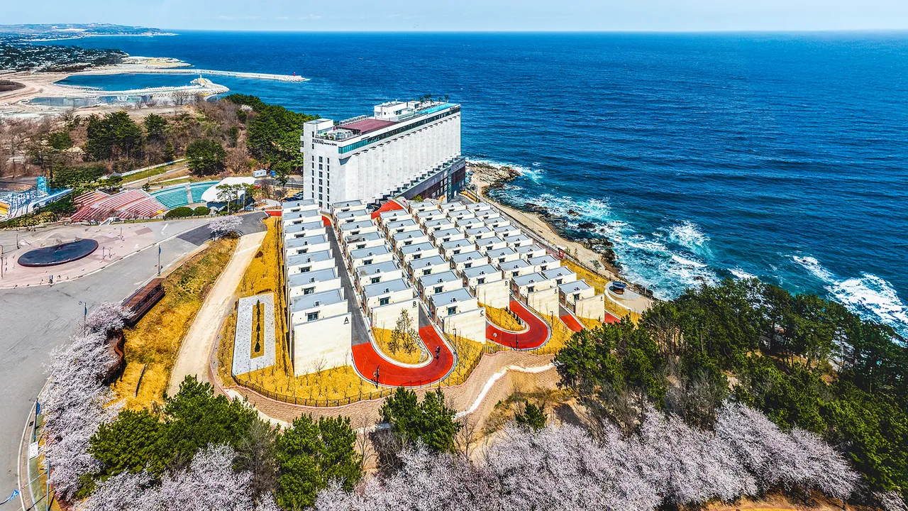 파나크 오퍼레이티드 바이 소노 사진