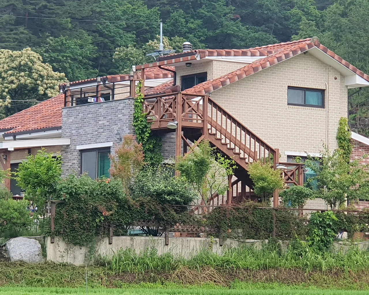 대표 사진