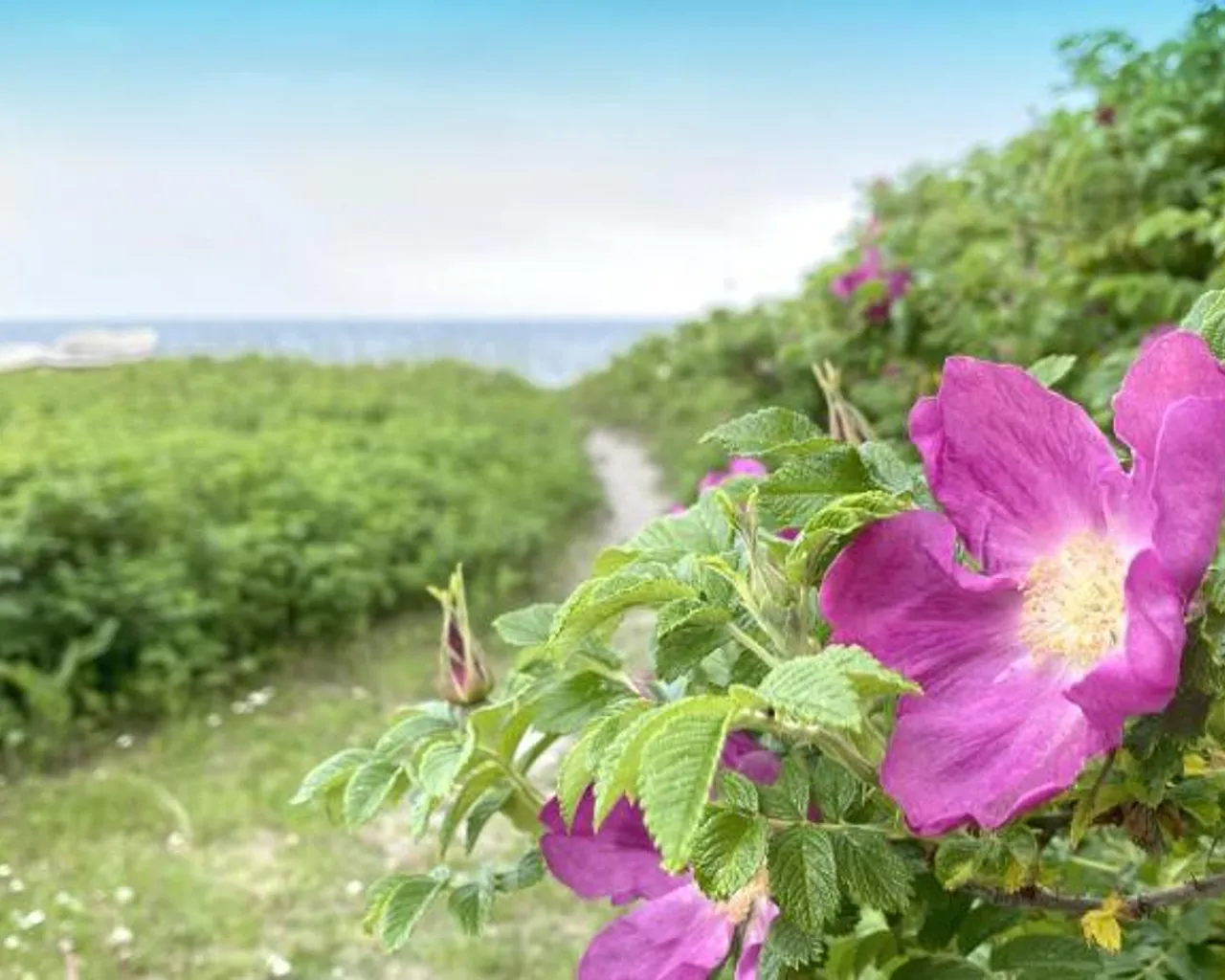 해변