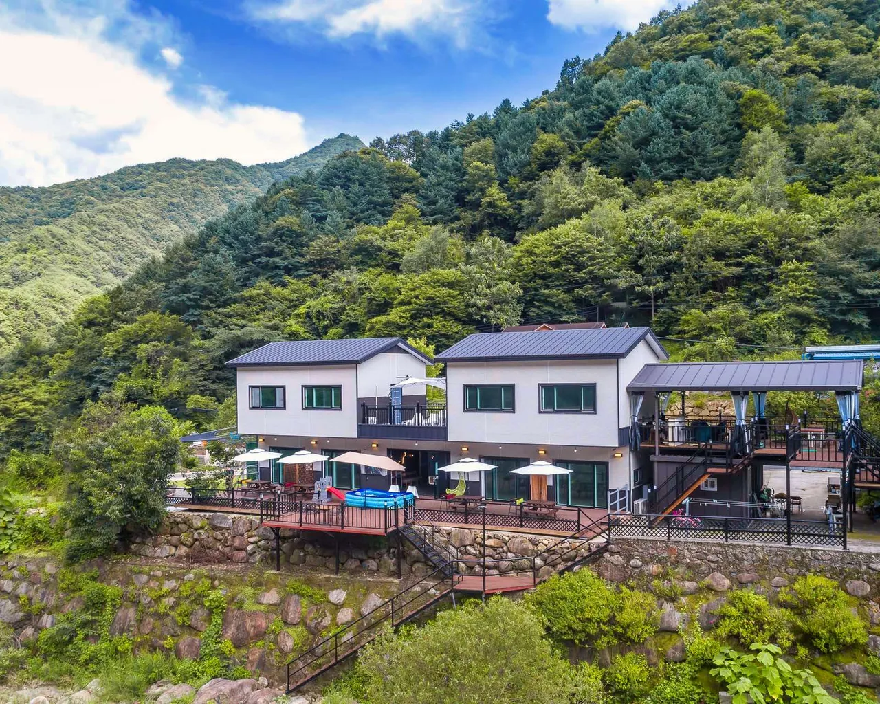대표 사진