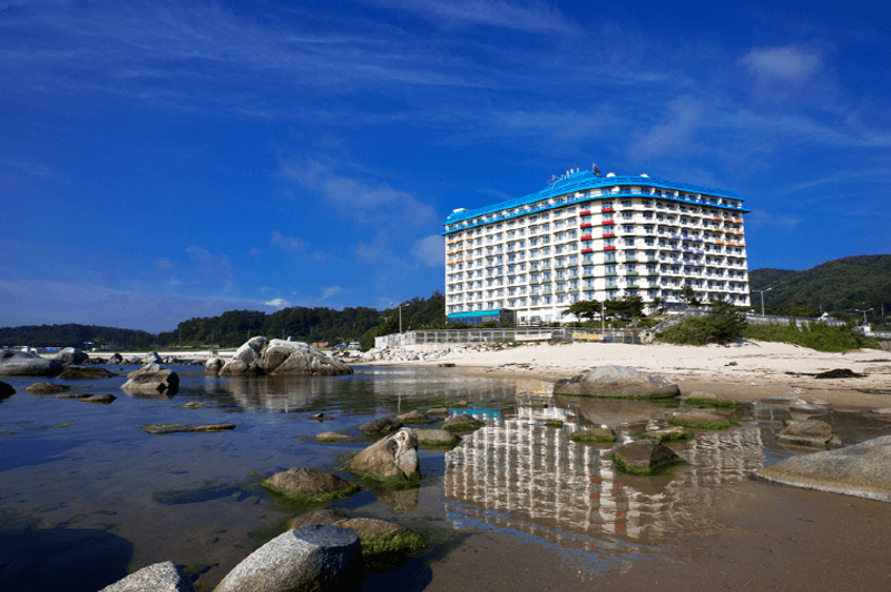 전경