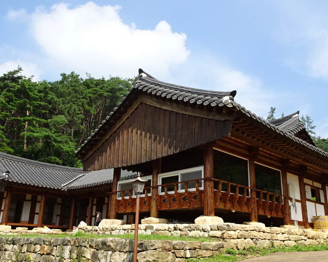 대표 사진