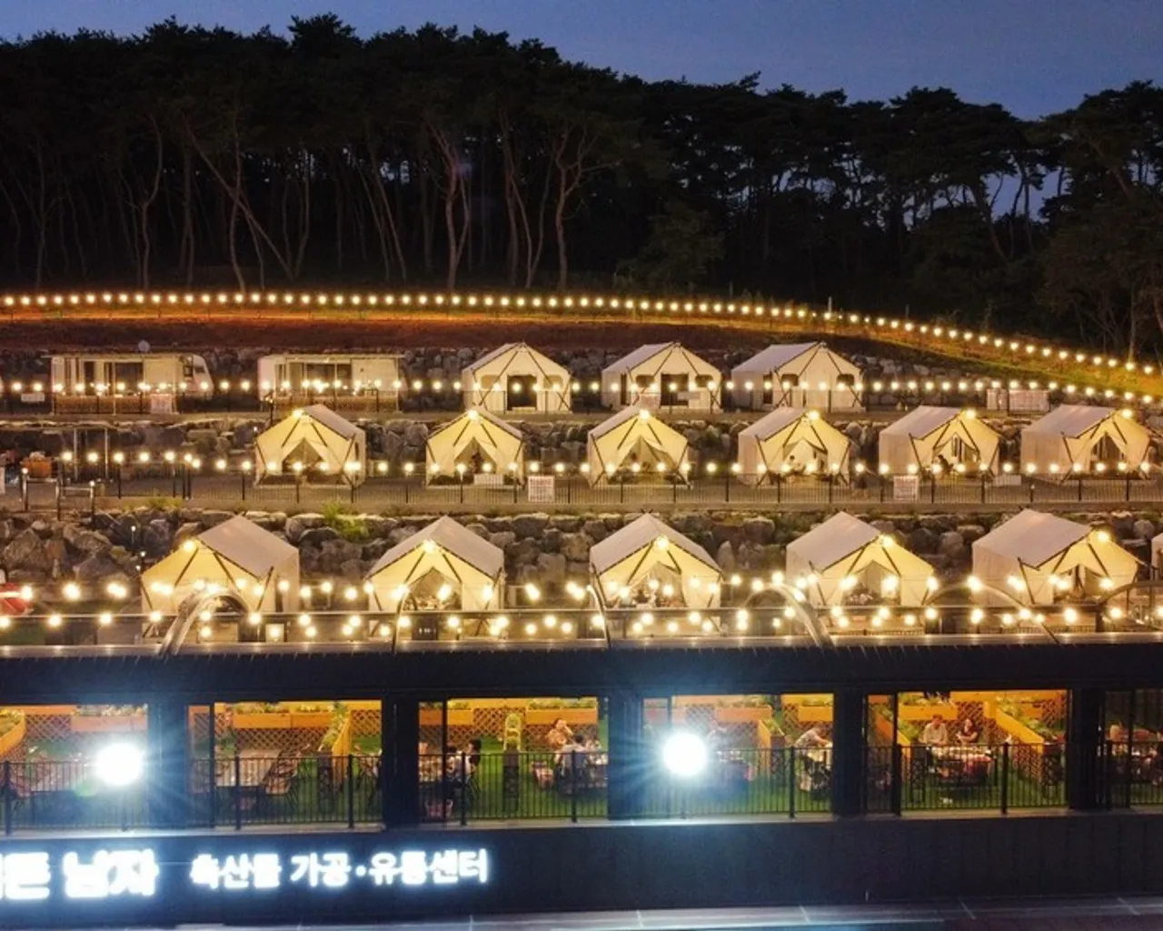 대표 사진