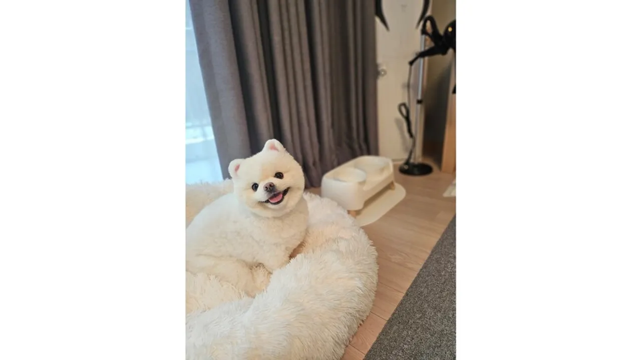 더 앤 리조트 호텔&스파 사진