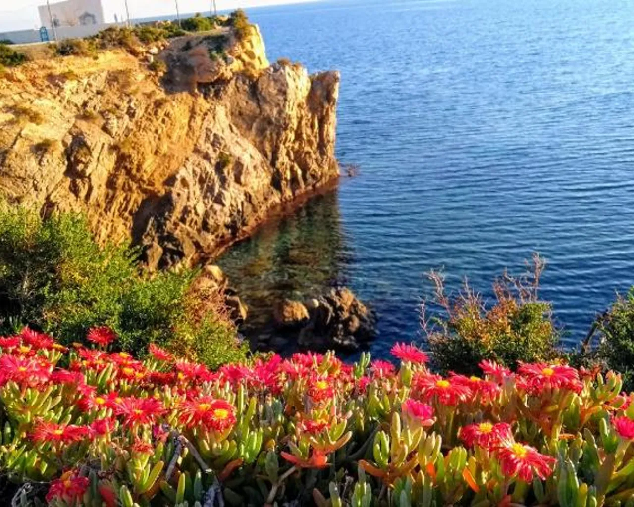 주변 환경