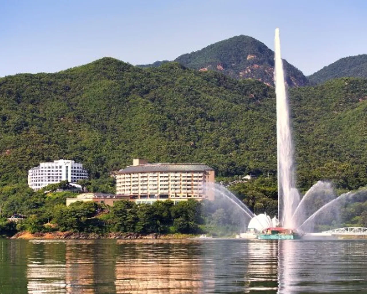 대표 사진